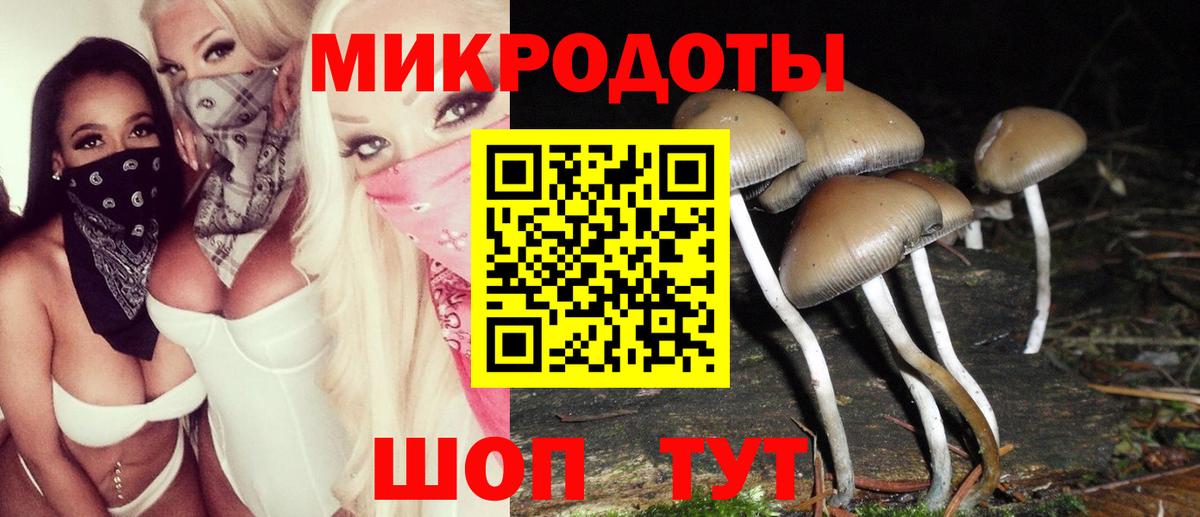 где найти наркотики  Галлюциногенные грибы Psilocybe  Сосновоборск  Вход с VPN  Галлюциногенные грибы MAGIC MUSHROOMS 