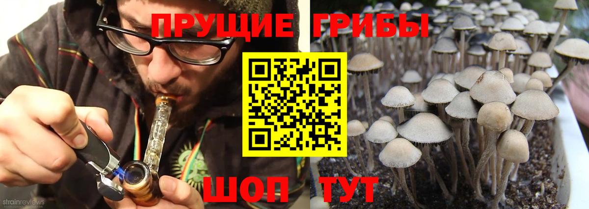Псилоцибиновые грибы мухоморы Сосновоборск